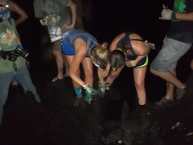 Students collected samples in a bat cave while wading through thumbs of bat guano.