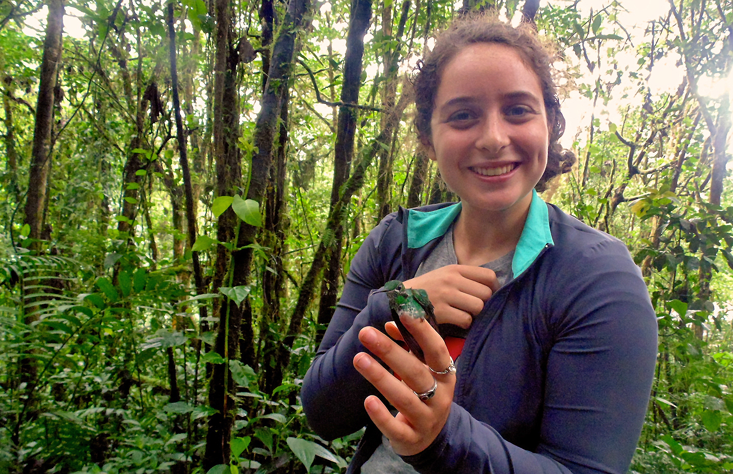 Hannah Steinberg '16 studied hummingbirds in Monteverde, Costa Rica  through the School for Field Studies.