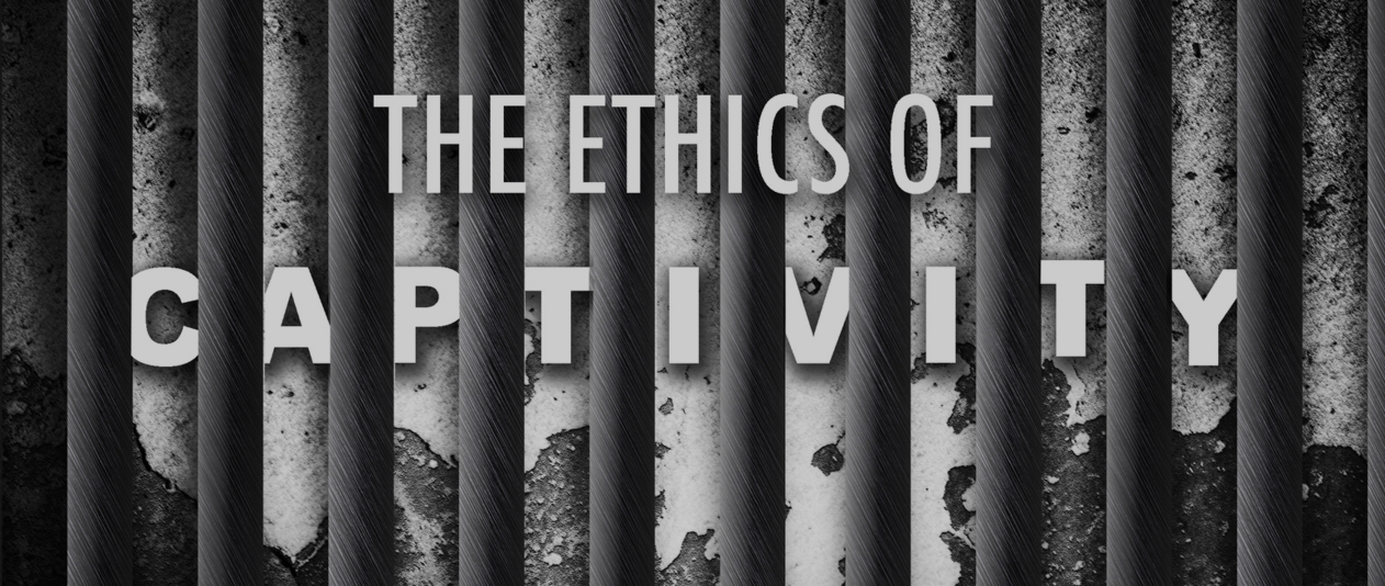 Click the image to view the Ethics of Captivity blog. 