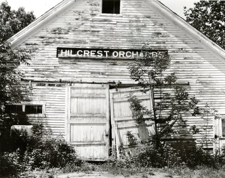 Hillcrest Orchards © 2016 Nancy Ottmann Albert