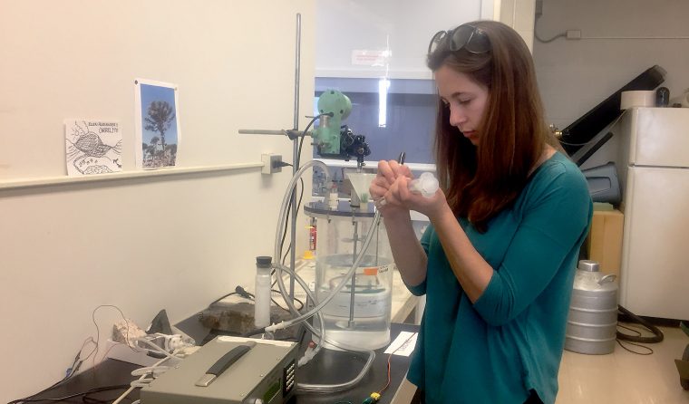 Brumberg labels a sample while running an experiment for her thesis, which is on the carbon cycling in volcanic crater lakes in Oregon.