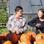 Fall Harvest, Music, Gatherings at 2018 Pumpkin Fest