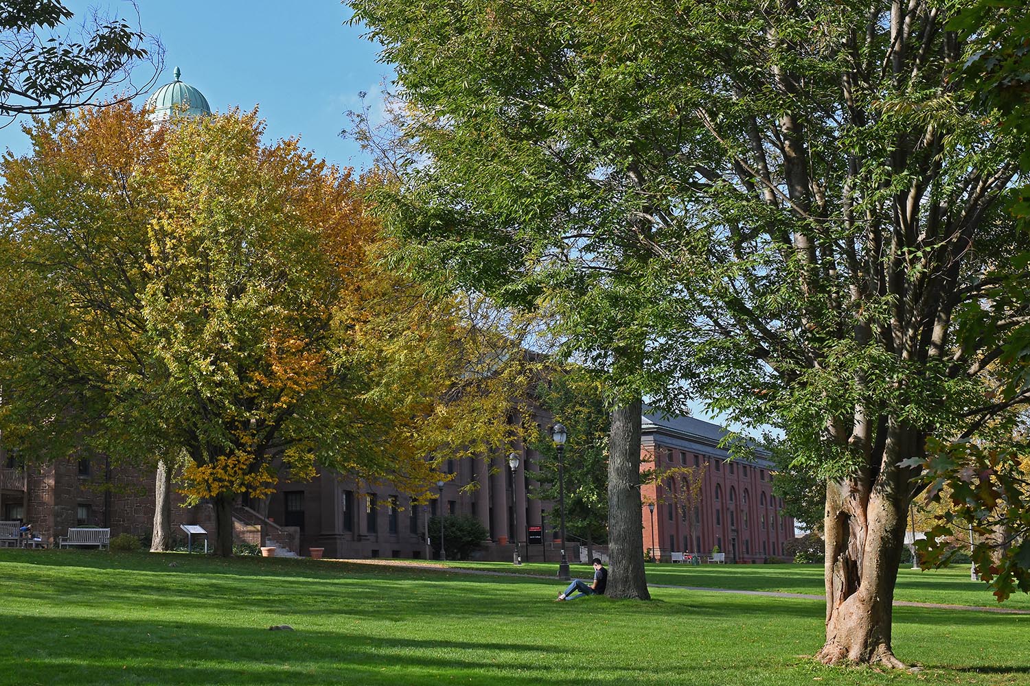 fall campus 