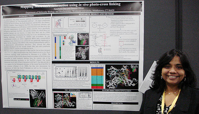 Graduate student Sanchaita Das presented her poster titled, "Mapping SecA-SecY Interaction using In Vivo Photo-Cross Linking." Das's advisor is Don Oliver, the Daniel Ayres Professor of Biology, professor of molecular biology and biochemistry.  