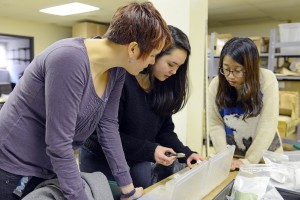 Sarah Croucher, Amy Cao and Chelsey Cho examine small glass test tubes and syringes discovered at the Beman site.  