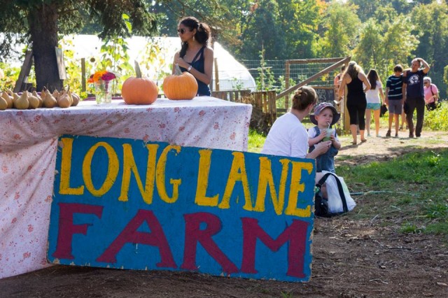 Pumpkin Fest at Wesleyan University.