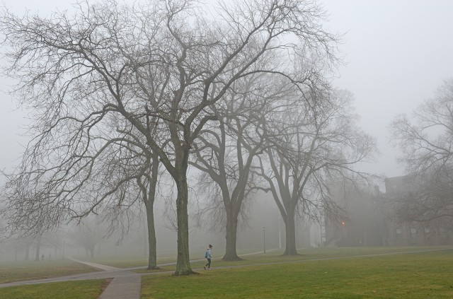 fog (41)