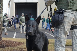 Middletown Police SWAT team and K-9 unit provided security during the drill. 