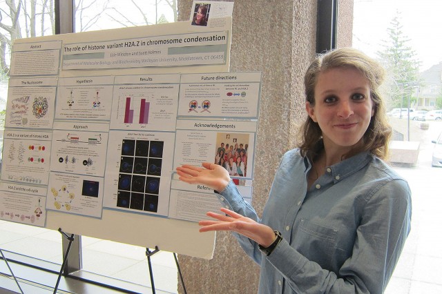 Lisle Winston ’14 presented her study, “The Role of Histone Variant H2A.Z in Chromosome Condensation.” Her advisor was Scott Holmes, professor of molecular biology and biochemistry. 