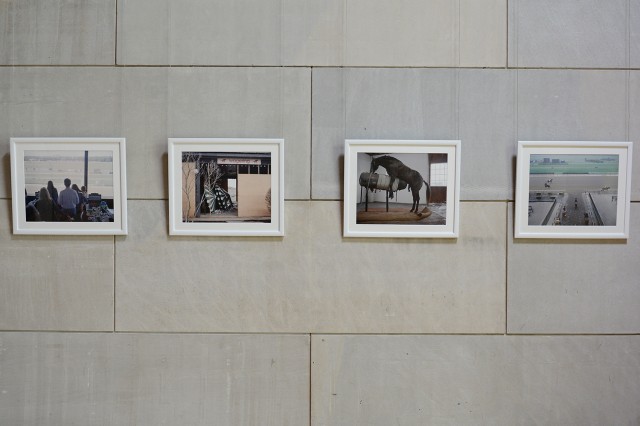 "Thesis Art 2014" is on display through May 24 at the Ezra and Cecile Zilkha Gallery. The reception, honoring Class of 2014 studio art majors, will be held from 2 to 4 p.m. May 24. Pictured are Hannah May Knudsen’s archival image prints selected from “The Apron." Her photographs capture horseracing culture in present-day United States. 