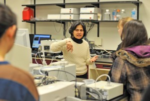 Ishita Mukerji, dean of Natural Sciences and Mathematics, professor of molecular biology and biochemistry, leads a lab tour.