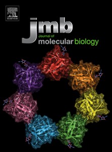 Katherine Kaus's story and figure will appear in the September 2014 Journal of Molecular Biology. The figure depicts the structure of a domain of the Vibrio vulnificus hemolysin that binds cell-surface glycans allowing the toxin to attack target cells. The structure was determined using a technique called X-ray crystallography.