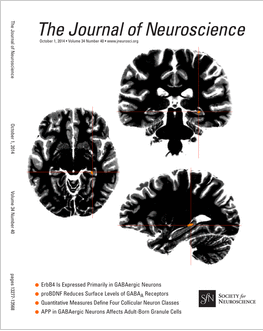 neuroscienceoctober