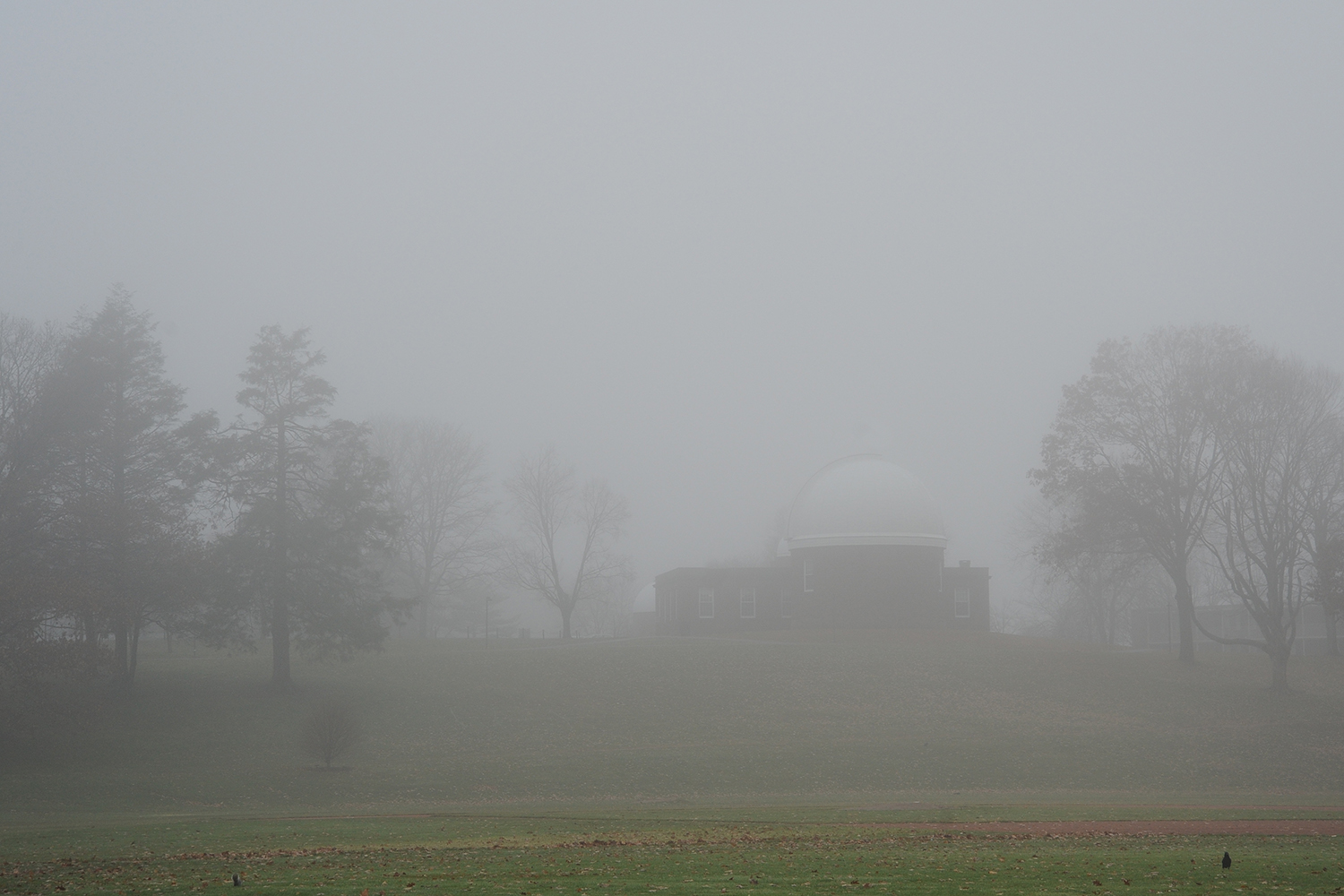 Foss Hill and the Astronomy Department. 