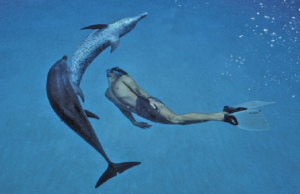 Dolphin Boy, directed by Dani Menkin and Yonatan Nir (2011) will be screened March 5. 