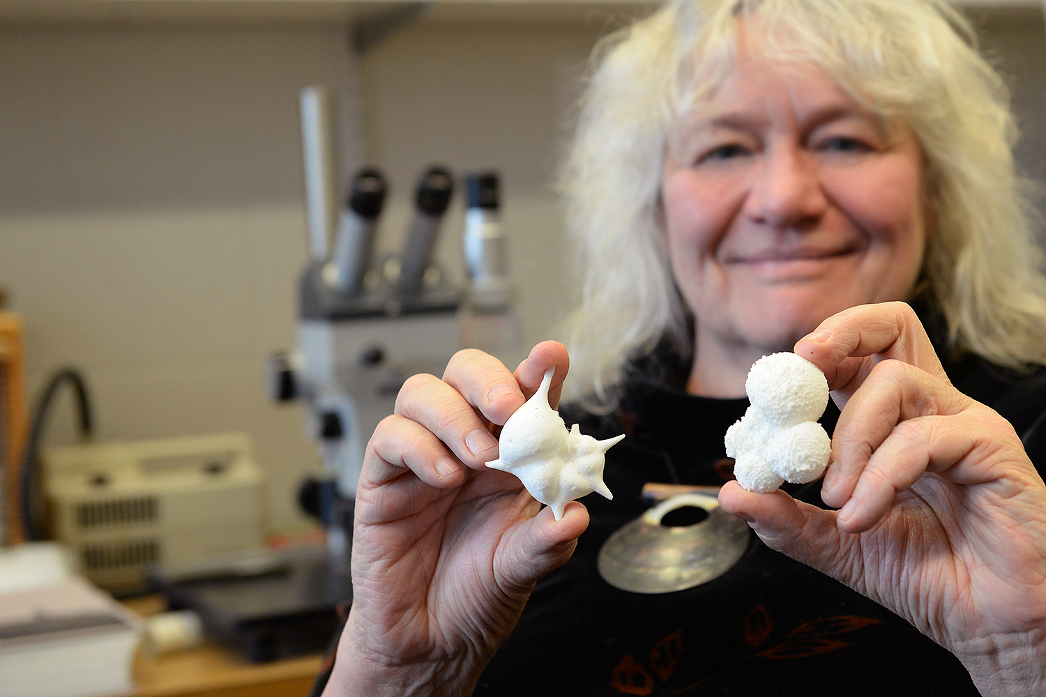 Ellen Thomas, research professor of earth and environmental science, holds two samples of microfossils that were printed on a 3-D printer at the American Museum of Natural History. The printed fossil models are about 8,000 times bigger than the actual limestone fossils.  Ellen Thomas holds two planktonic forms which lived closer to the surface of the water. At left is Hantkenina alabamensis, which lived when the world was warm, and went extinct at the time of formation of the Antarctic ice cap about 33.7 million years ago. At right is Globigerinella siphonifera. It lives in the subtropics today, in open ocean. "When it's alive, it has spines and protoplasm inside and along the spines," she said. 