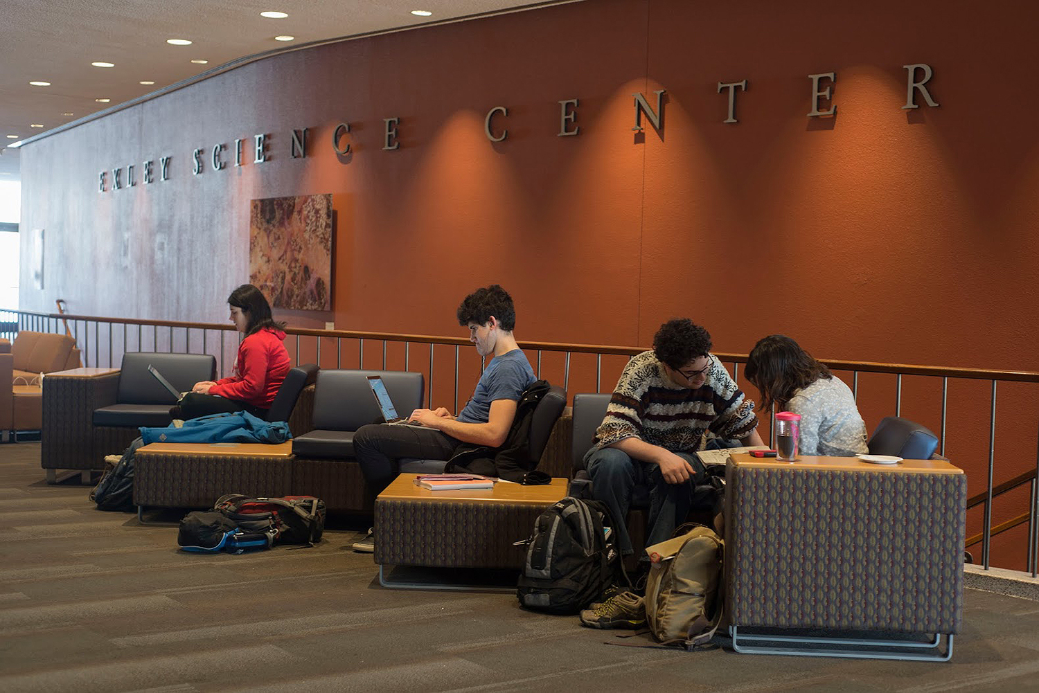 Exley Science Center's lobby boasts more than 50 new study spots. 