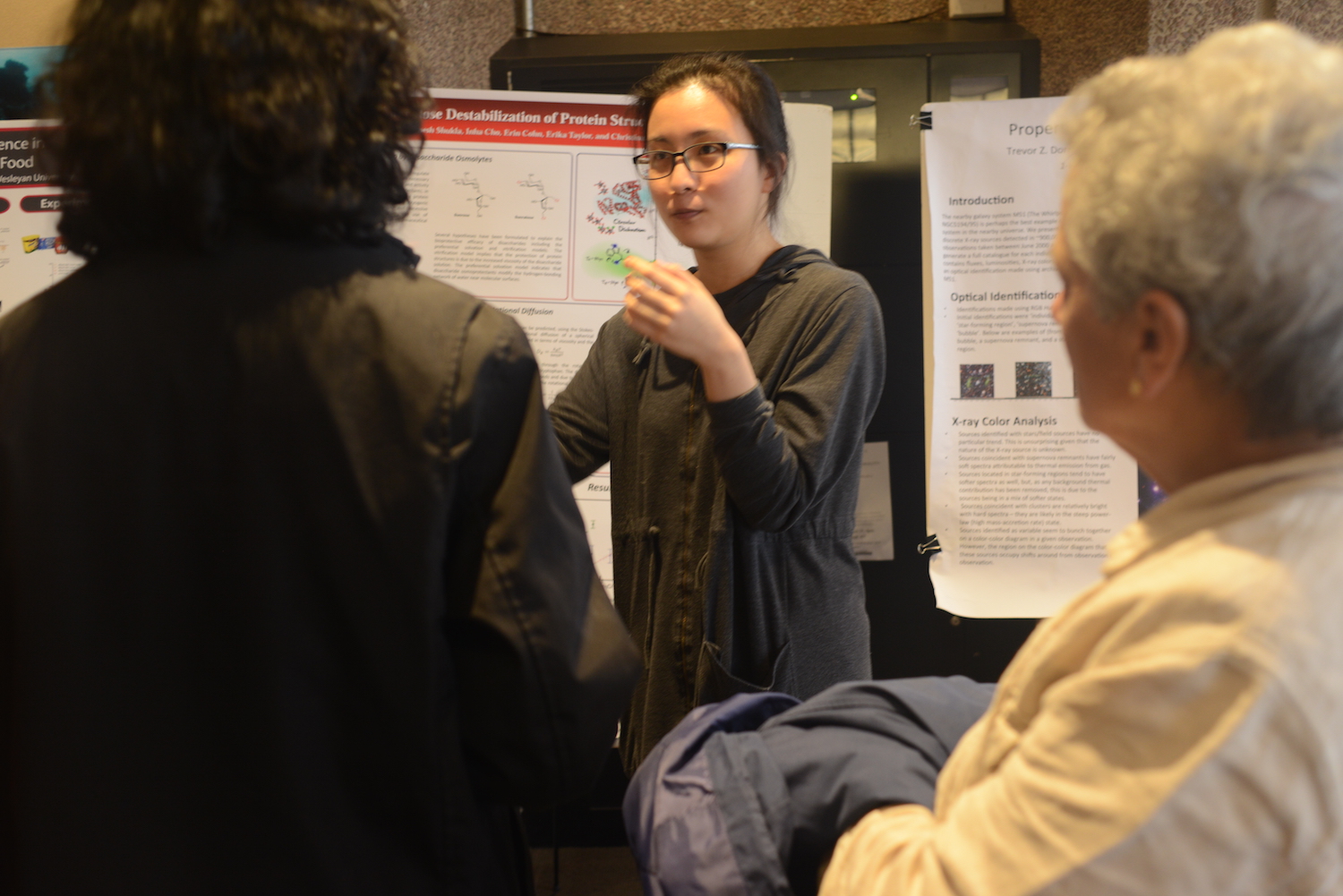 Inha Cho '15 investigated sucralose, an artificial sweetener, and its impact upon protein structure as part of her thesis work.
