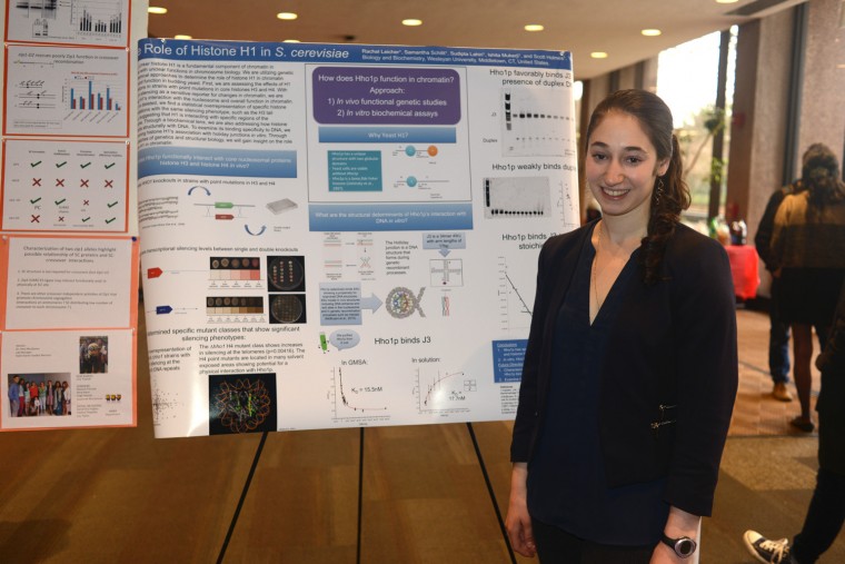 eve_postersession_2015-0417235350 wp
