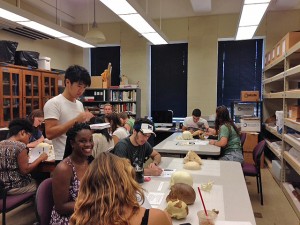 Cohen encourages Wesleyan faculty to use the collections for their teaching. On Sept. 16, students enrolled in the PSYC221 Human Memory course, taught by Erika Fulton, visiting professor of psychology, visited the collections to learn more about memory and the brain. Students compared and contrasted three skulls from disparate time points in human evolution and used their observations to make inferences about how different parts of the brain must have evolved.