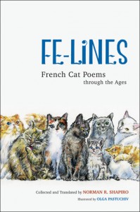 fe-lines