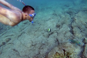 Robert Ramos '16 observes tropical fish and corals while snorkeling in Kahaluu Beach.