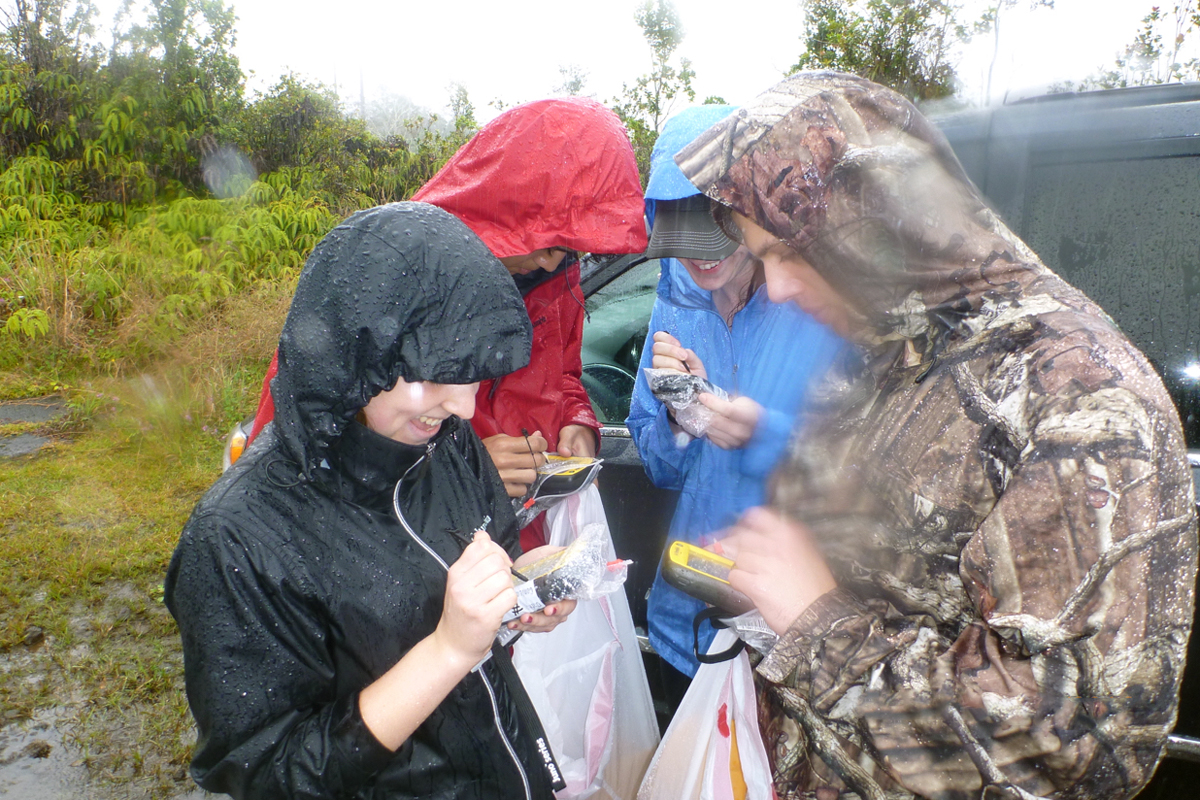 A group studying the rapid death of the Ohi’a lehua tree prepares their GPS units in the rain.