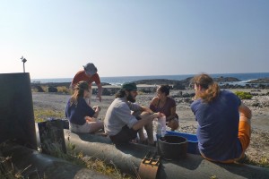 From left,  Joel Labella, Kate Cullen, Jed Siebert, Lena Capece, and Will Sawyer take samples from a 25m pipe.