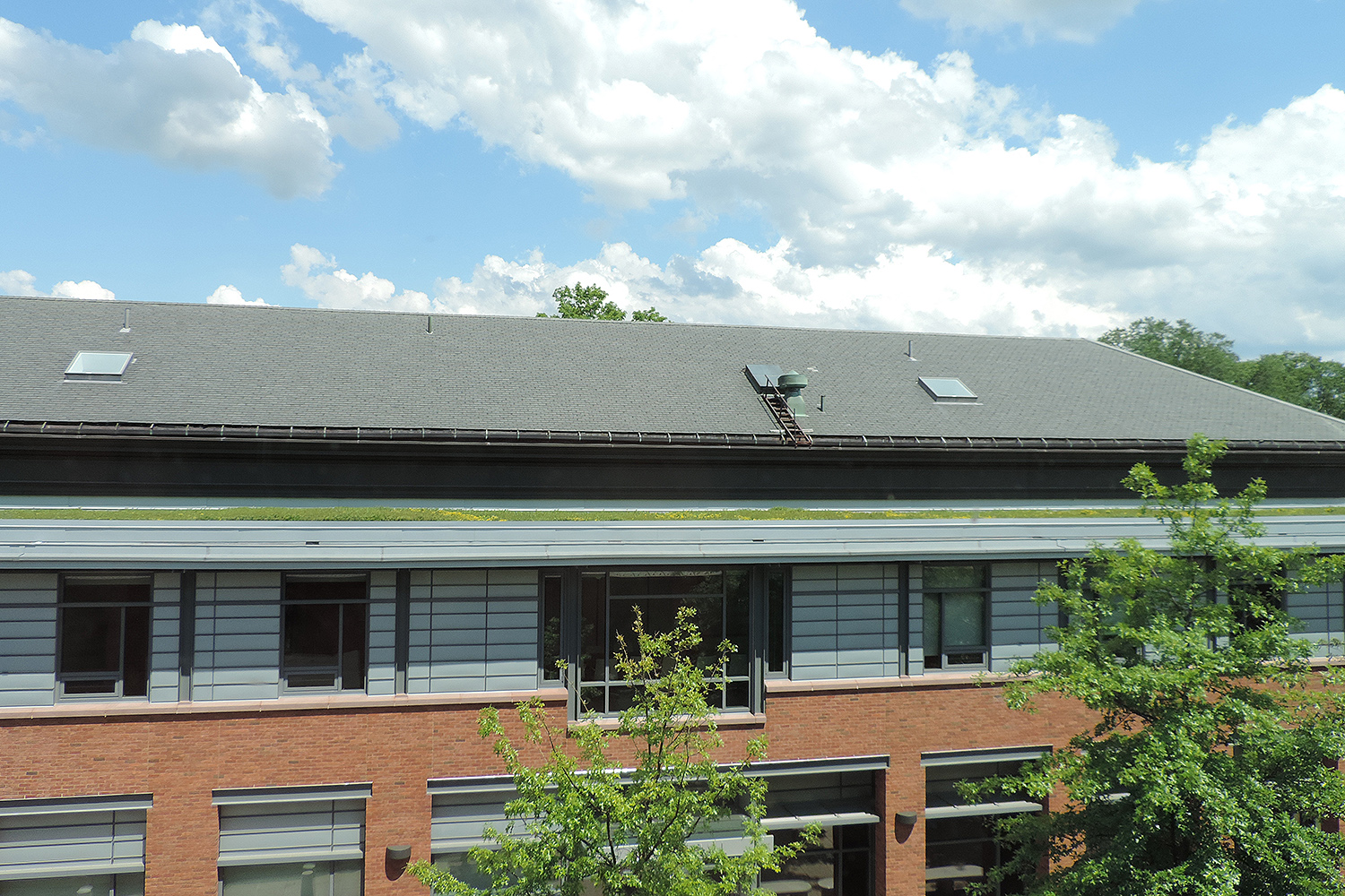 As part of Wesleyan's sustainability efforts, a 2,500 square foot "green roof" was planted on the top of Boger Hall. 