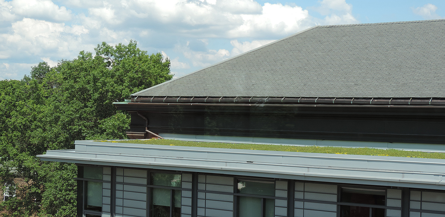 The green roof provides water filtration and a reduction of heat. 