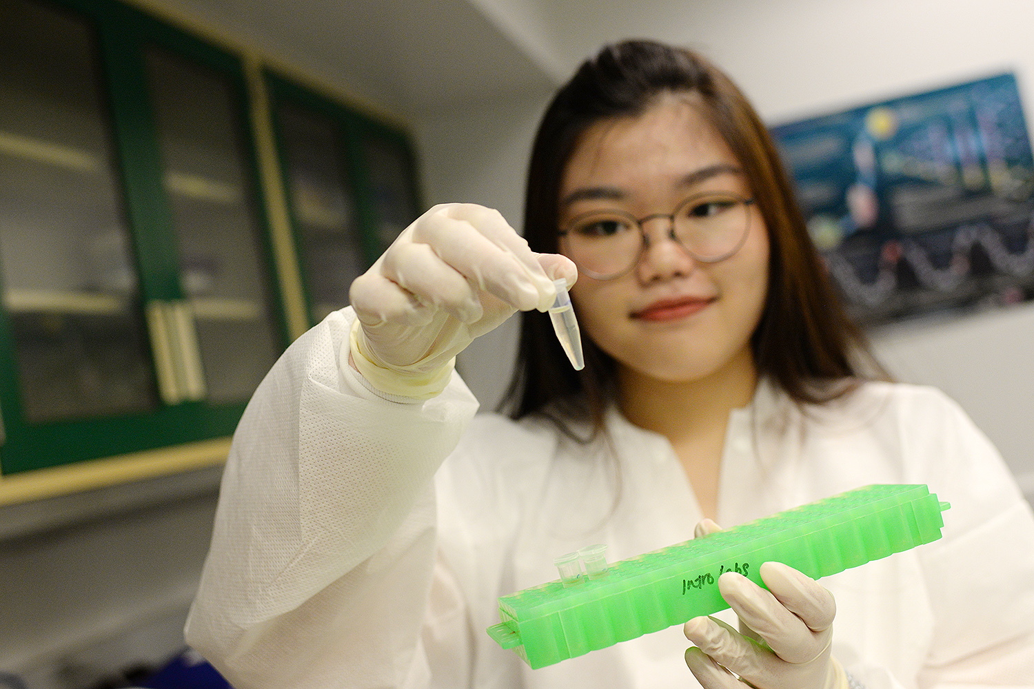 Summer Session Biology Lab, June 2016.