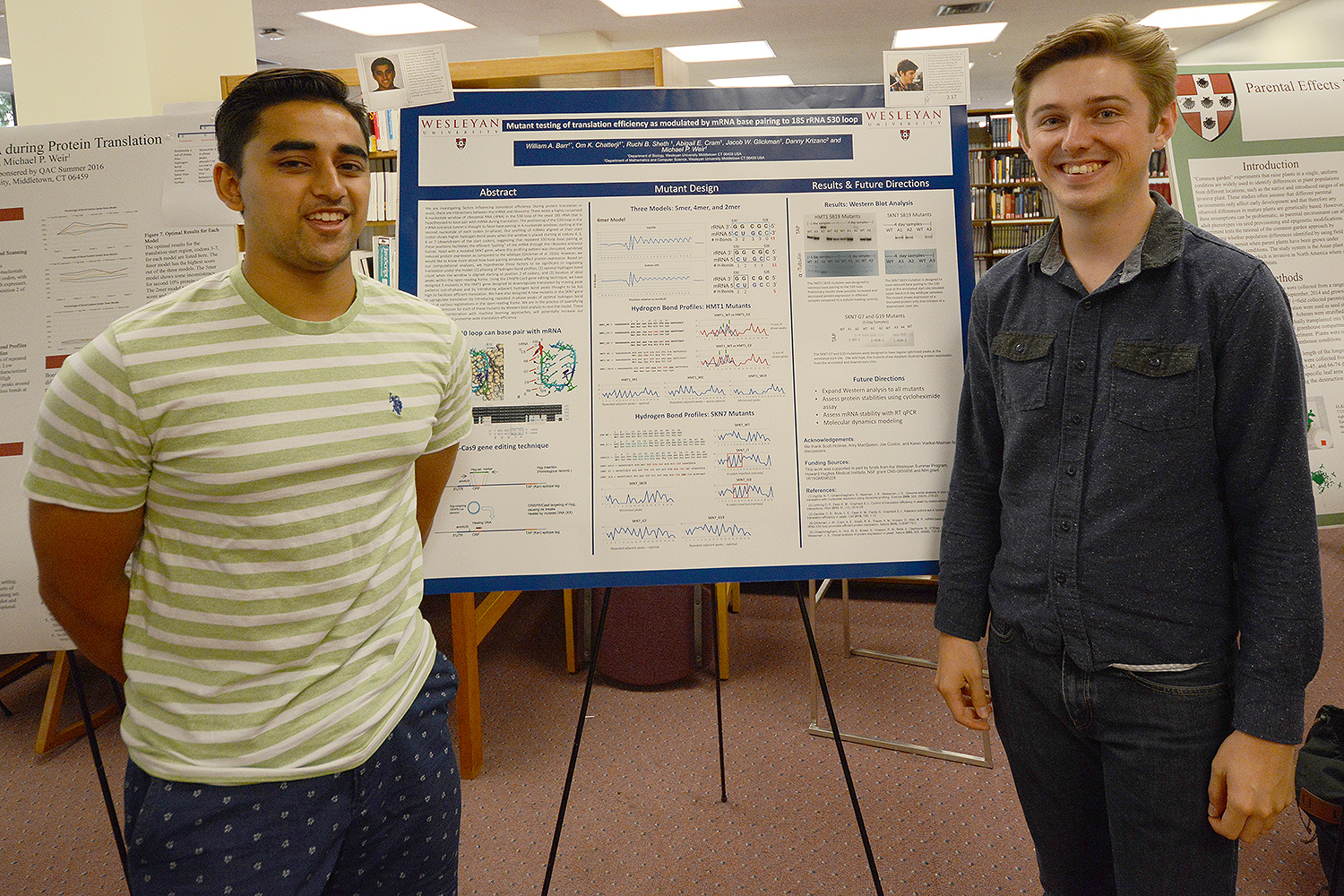 Om Chatterji ’18 and Will Barr ’18 shared their poster titled “Mutant Testing of Translation Efficiency as Modulated by mRNA Base Pairing to 18S rRNA 530 Loop.” Their advisors were Danny Krizanac, professor of computer science, professor of integrative sciences, and Michael Weir, professor of biology, professor of integrative sciences.