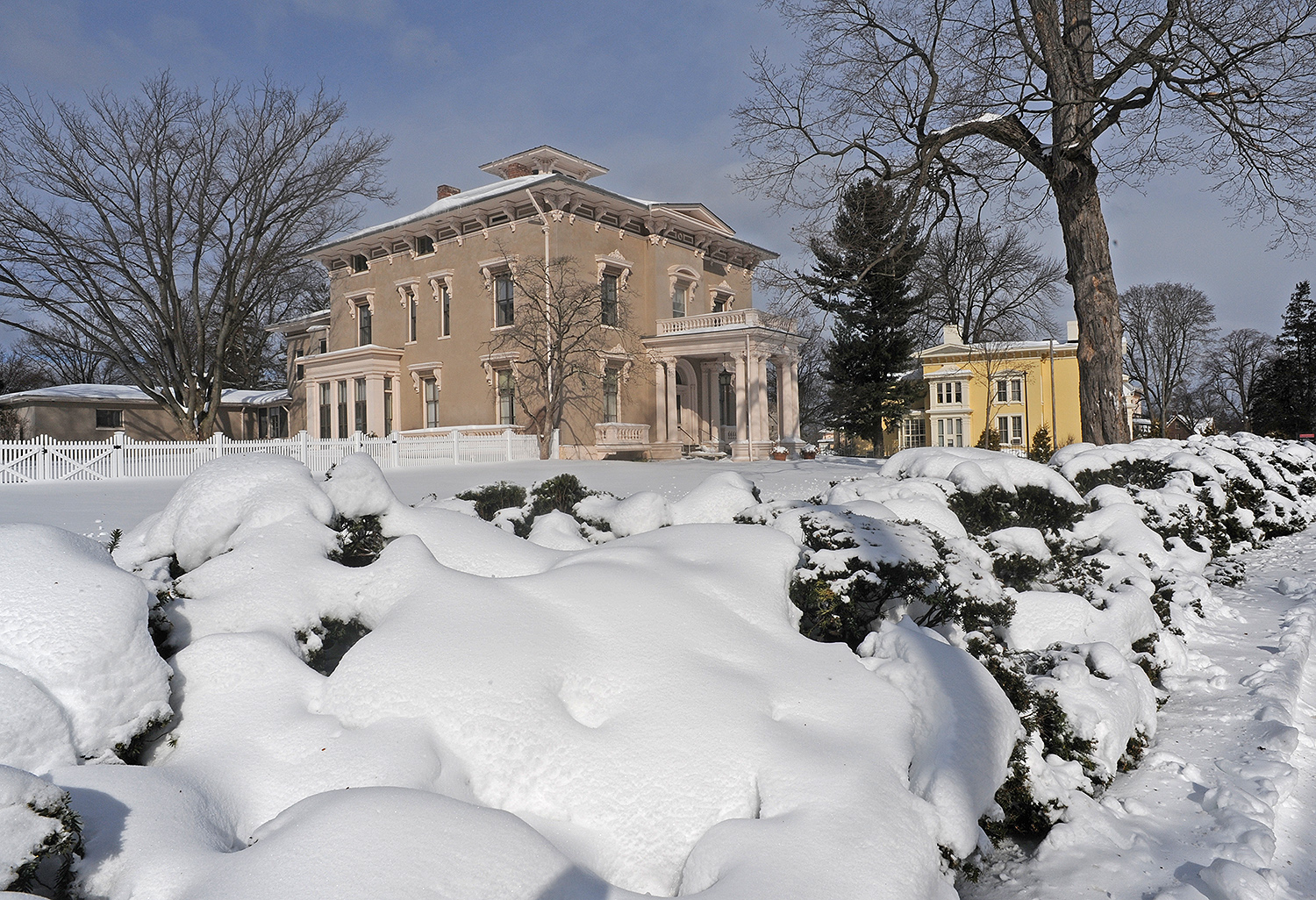 Snowy shrubs frame the President's House and the Anthropology Department. 