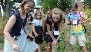 Ruth Johnson, assistant professor of biology, volunteered to teach a Girls in Science Camp, hosted by Wesleyan's Green Street Teaching and Learning Center. Johnson led the campers on a bug hunt through Wesleyan’s West College Courtyard garden. 