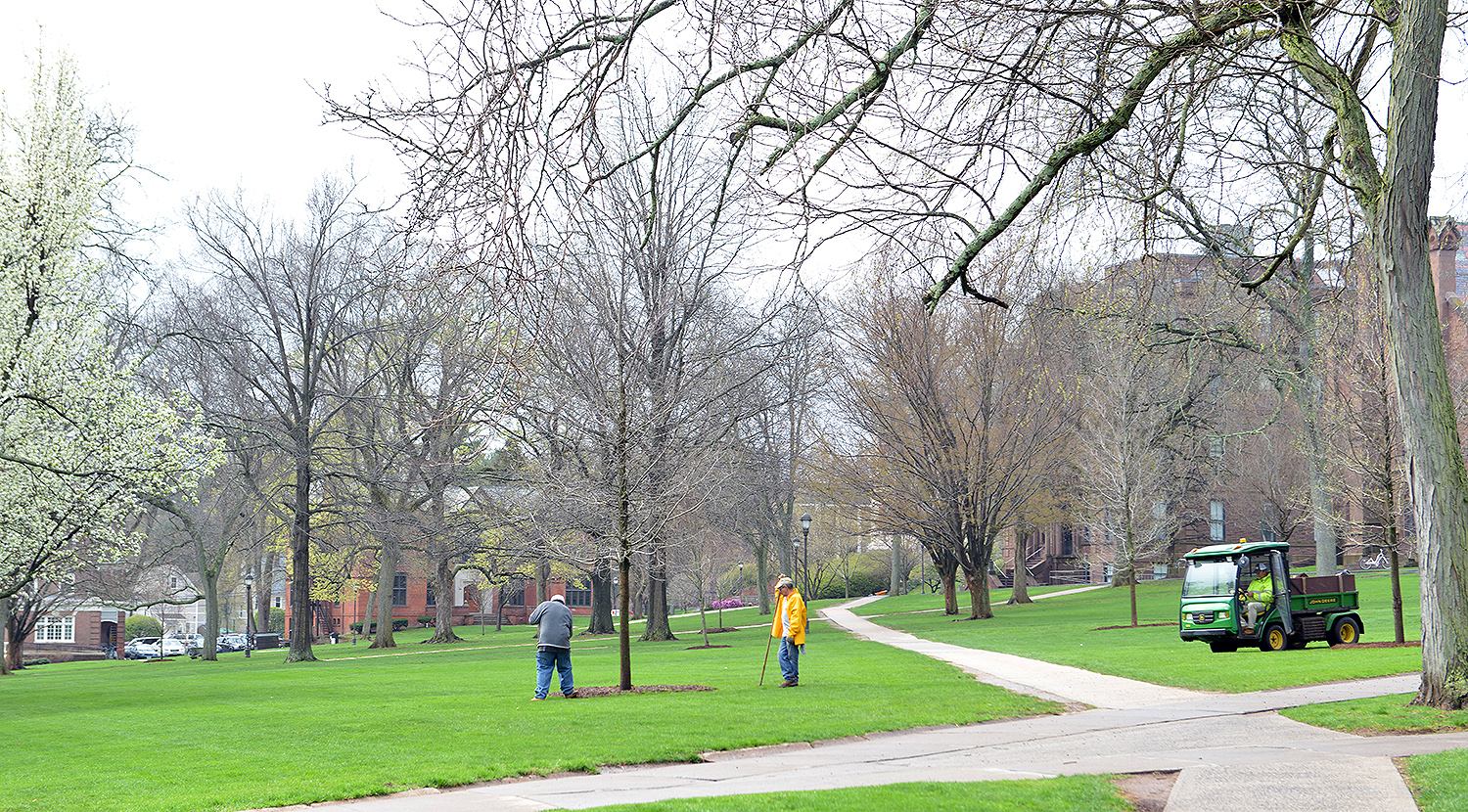 This spring, crews are planting new trees at multiple locations on campus. 