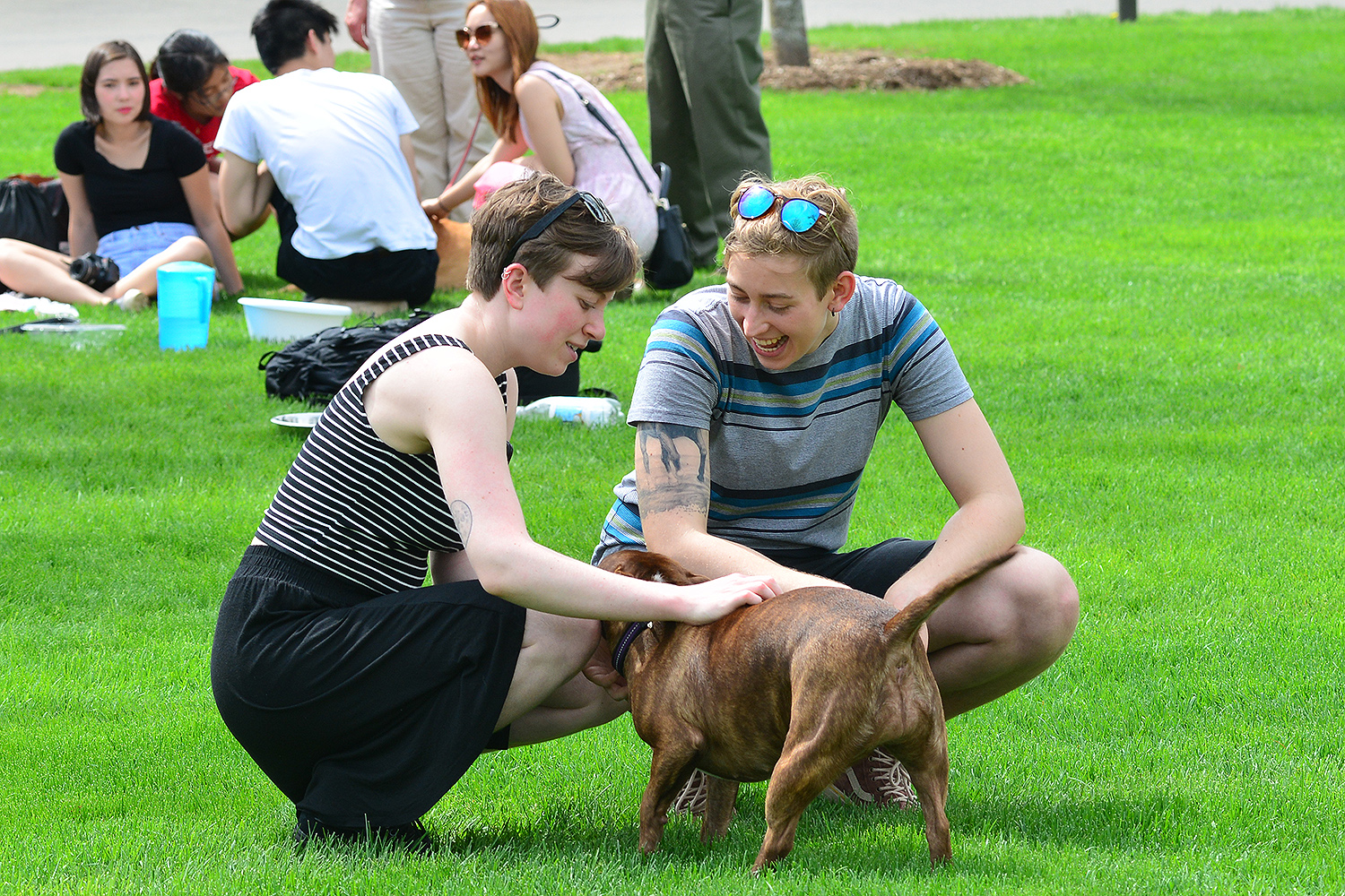 Doggo Meet and Greet, April 29 at Wesleyan University.