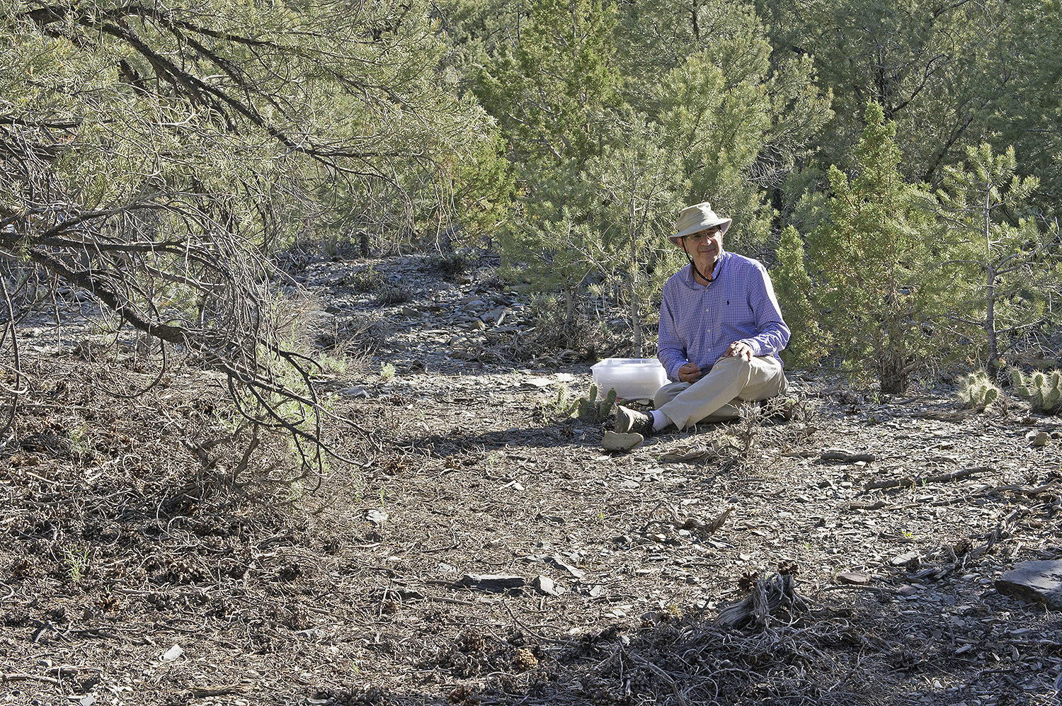 Fred Cohan samples the rhizospheres of Opuntia, or prickly pear cactus, at about 7,000 feet.