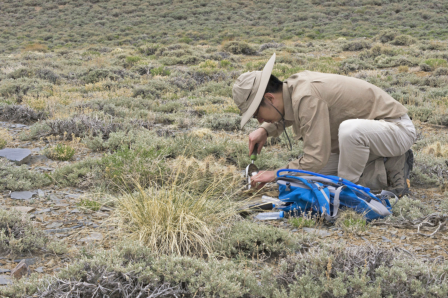 Graduate student Jerry Lee samples a prickly pear cactus rhizosphere at about 6,000 feet above sea level. 