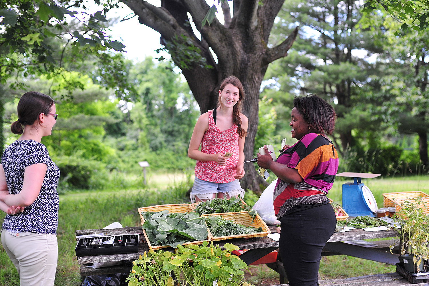 Jen Kleindienst, sustainability director; Long Lane Farm member Alea Laidlaw ’20; and Sandy Durosier, area coordinator in Residential Life, talk about gardening at the Farmer’s Market. 