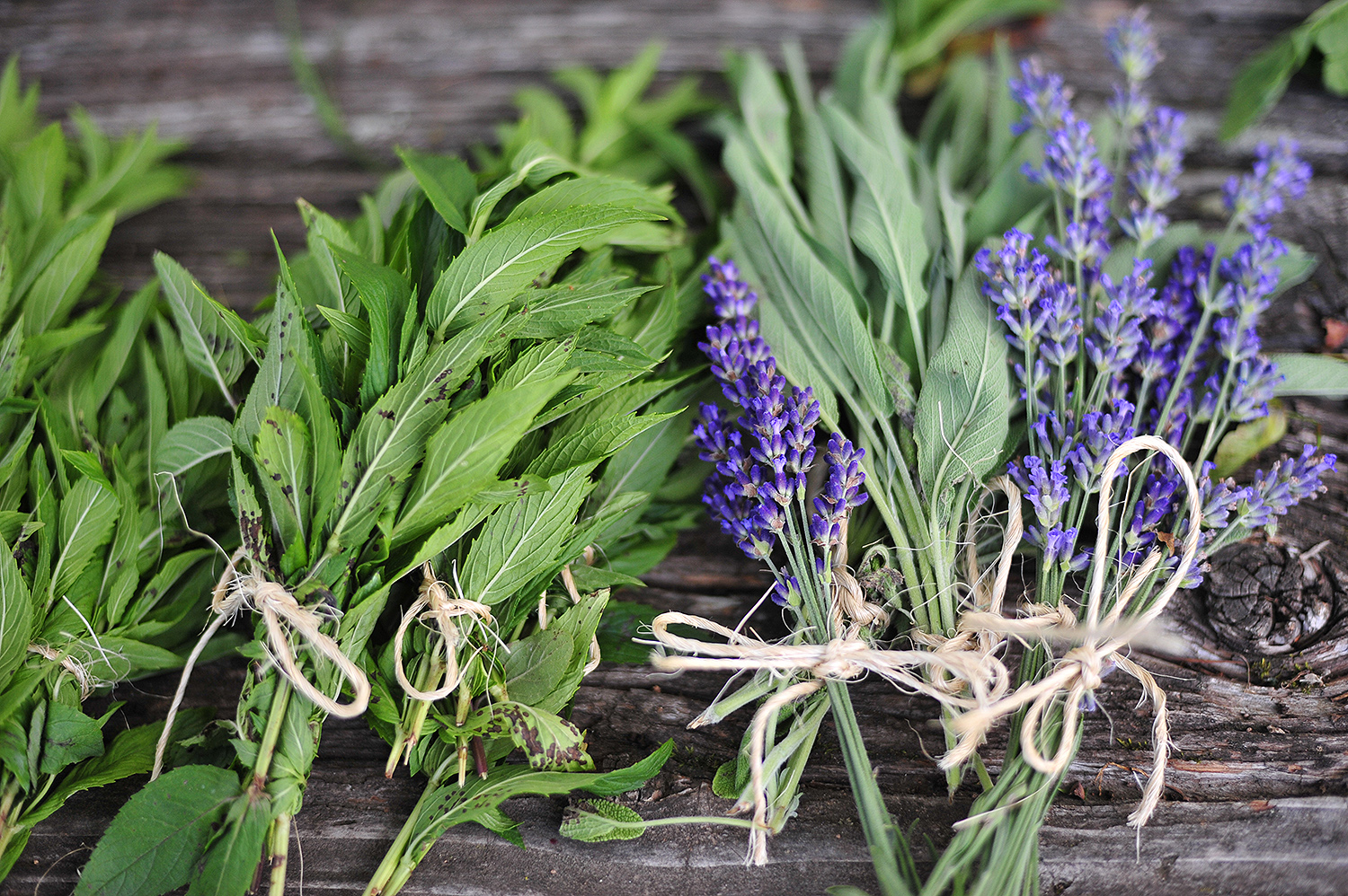 Mint, sage and lavender also are grown at the farm and sold at the market.