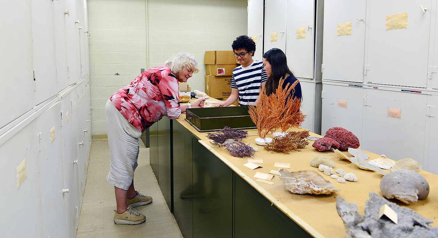 The research team also found dozens of coral samples stashed away above these cabinets in Exley Science Center. 