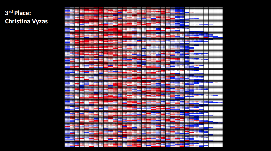 Christina Vyzas '18 took third place with this image of a portion of a chart conditionally formatted for zebrafish centra size range. The scale from blue to red indicates the variation from smallest to largest centra down the length of the vertebral column in the posterior direction. 