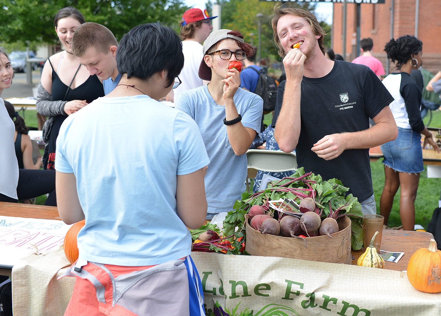 Long Lane Farm is Wesleyan's student-run organic farm, located at 281 Long Lane. Throughout the year, students grow and sell a variety of vegetables, fruits, herbs, and products. They host community events and programs such as PumpkinFest and the Middletown Food Project.