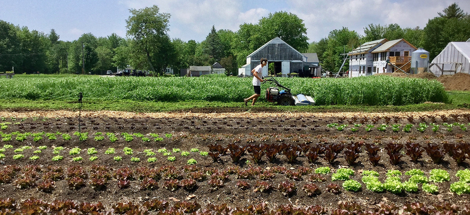 Daniel Mays '06 owns and operates a 14-acre farm in Scarborough, Maine. 