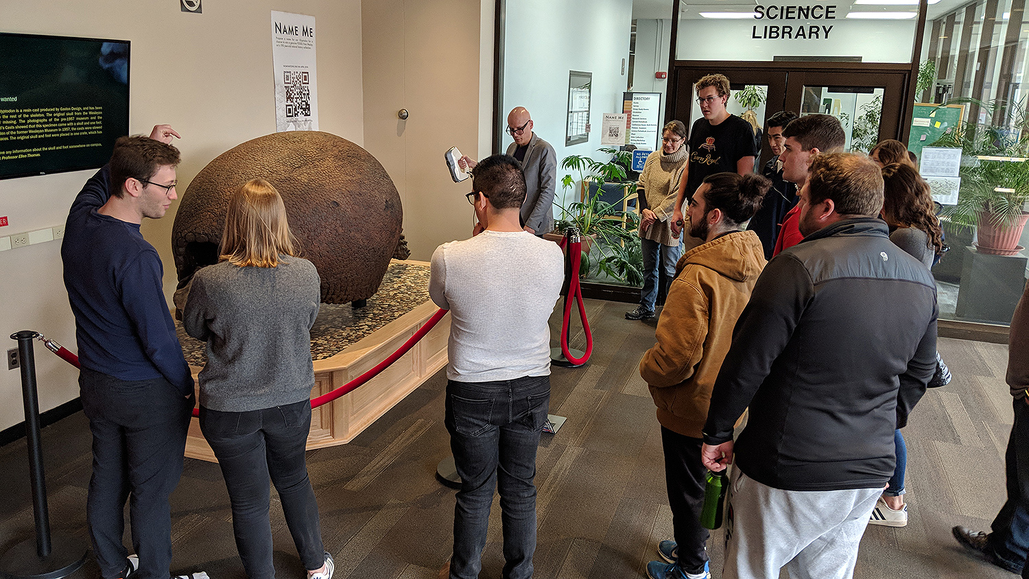 Students watch as the Gyptodon is scanned. 