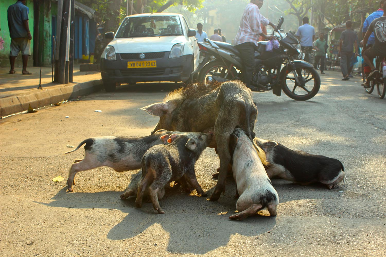 Romina Beltran '22 won Best Photo of Contemporary Issues for her image titled “In the streets of Kalkota," taken in Kolkata, India. "This photo represents an urban scenario in a capitalistic society in contrast with the elements of both nature and poverty," Beltran explained. 