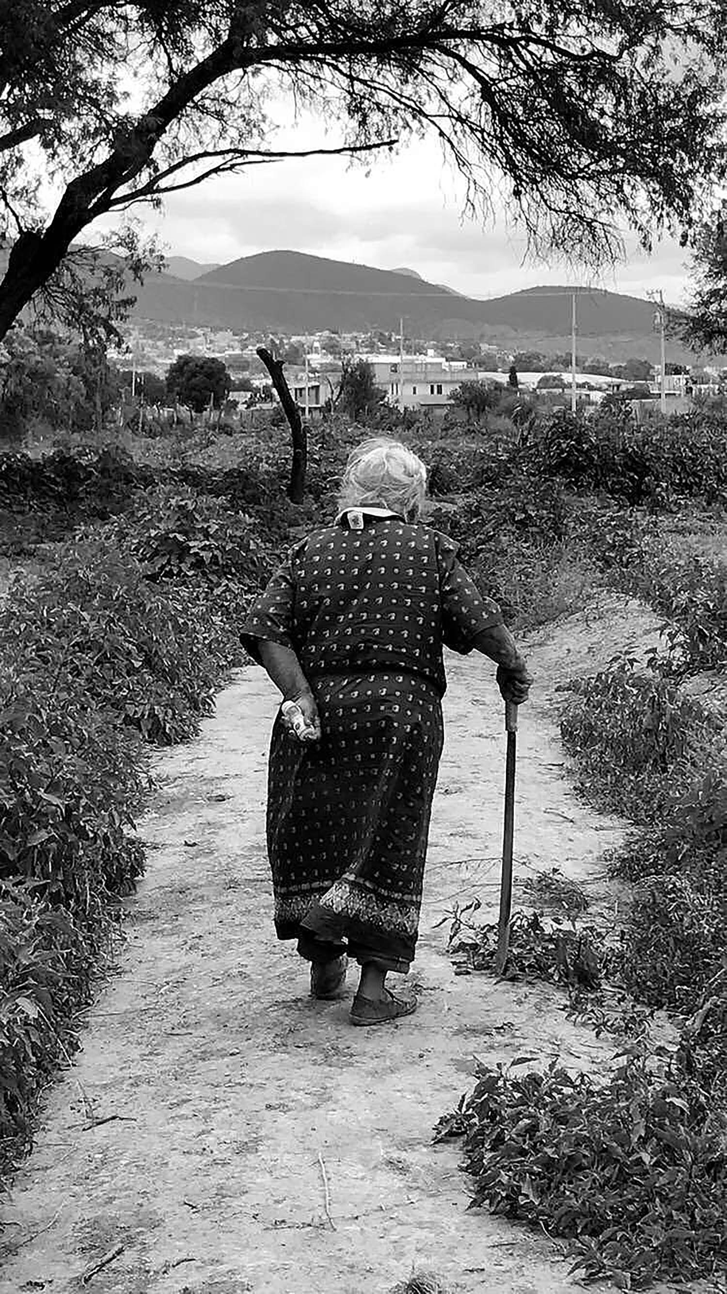 Delila Flores '19 won Best Photo of Daily Life for her image titled “Machete Abuela," taken in San Vincente, Puebla, México. "This is my bisabuela walking through the campo, the fields, where she uses her machete for her livelihood. She uses it to cut the weeds, to protect herself from the snakes, and as a walking stick. Despite being 92 years old, she is still a strong woman who has defended her land and taught her daughters, my abuela and my mamá to do the same," Flores said.