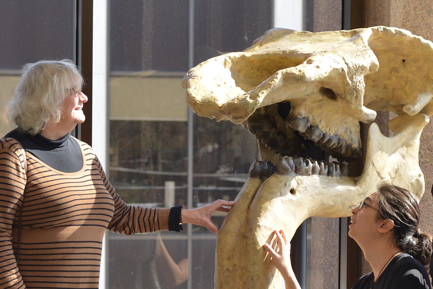 Terrible Beast” Takes Residence in Exley Science Center