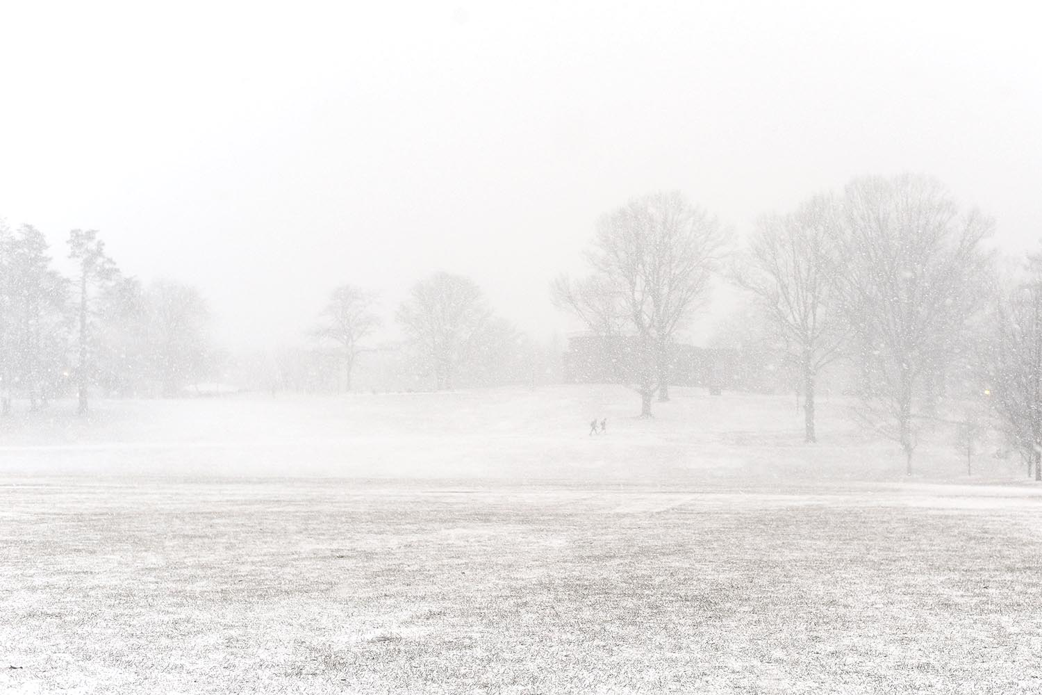 A snow squall stormed through Connecticut On Jan. 30, forming nearly white-out conditions on Wesleyan's campus. Temps plummeted from 30 degrees at 4 p.m. to 5 degrees at midnight.