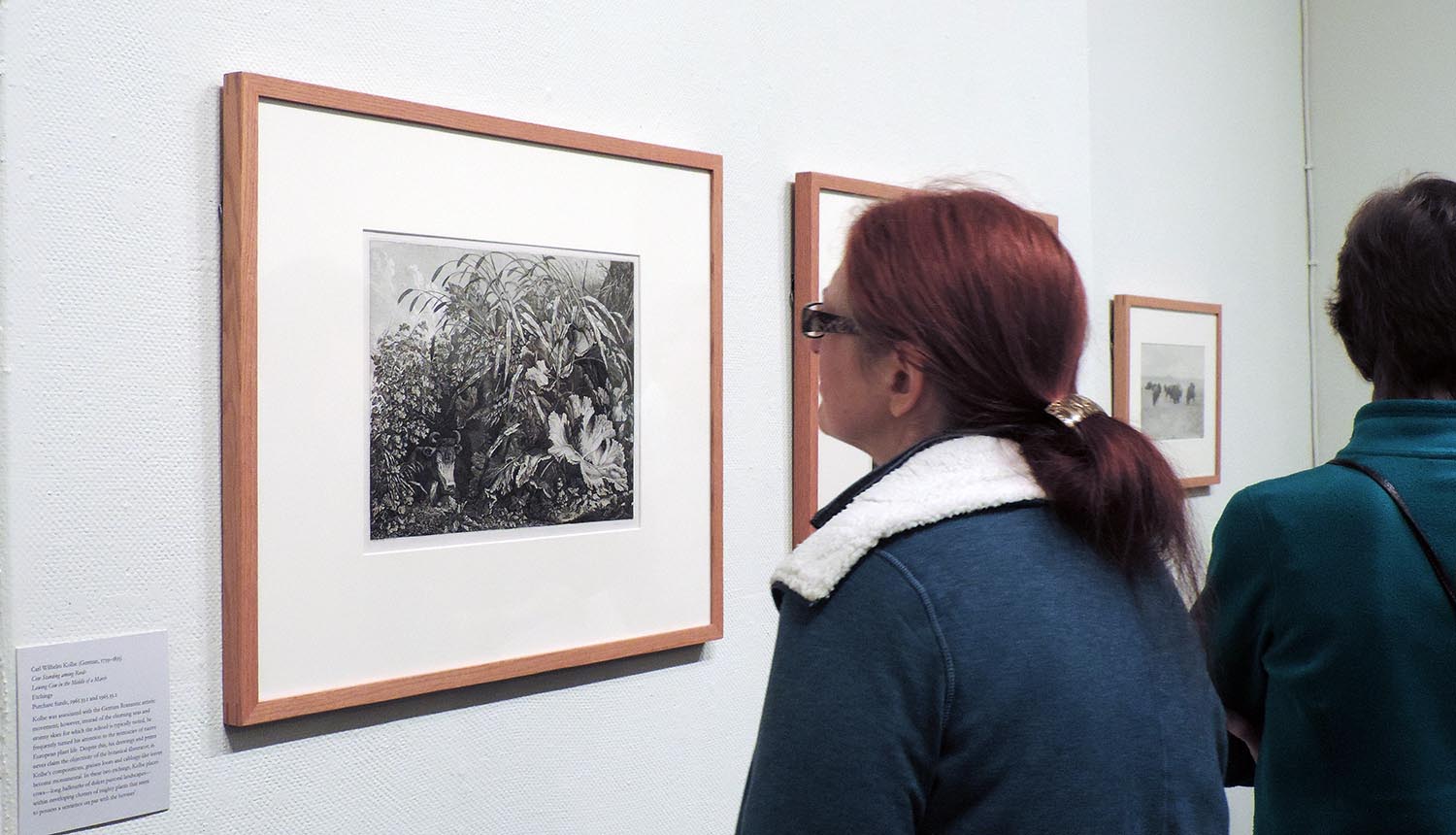 The exhibit encourages visitors to consider the various ways in which humans see and interpret animals, who are not able to represent themselves through art.
